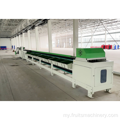 အီလက်ထရောနစ်အသီးများတန်းစီ Sorting Machine